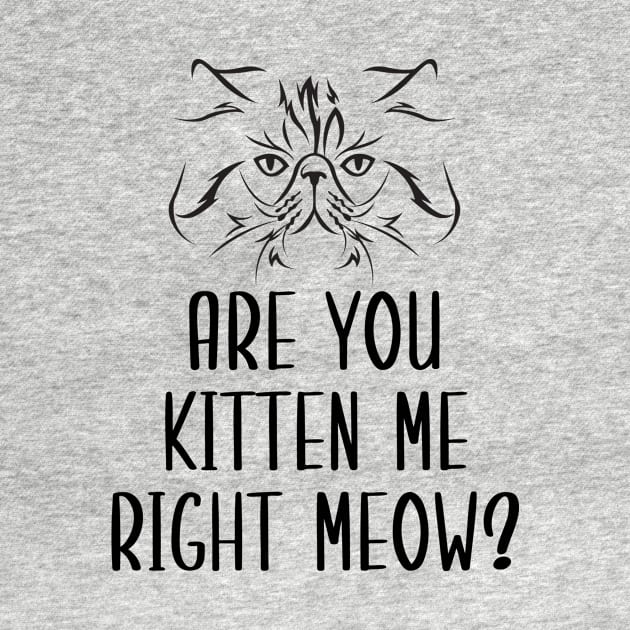 Are You Kitten Me Right Meow by Health
